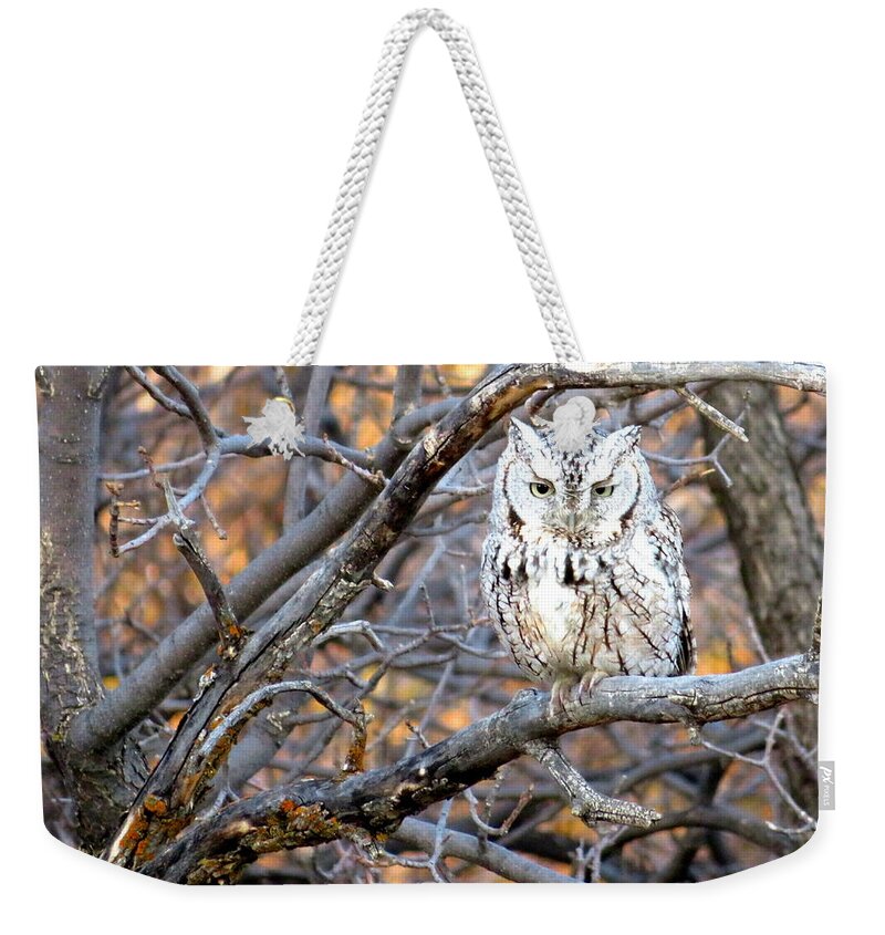 Owl Weekender Tote Bag featuring the photograph Mouser Extraordinaire by Katie Keenan