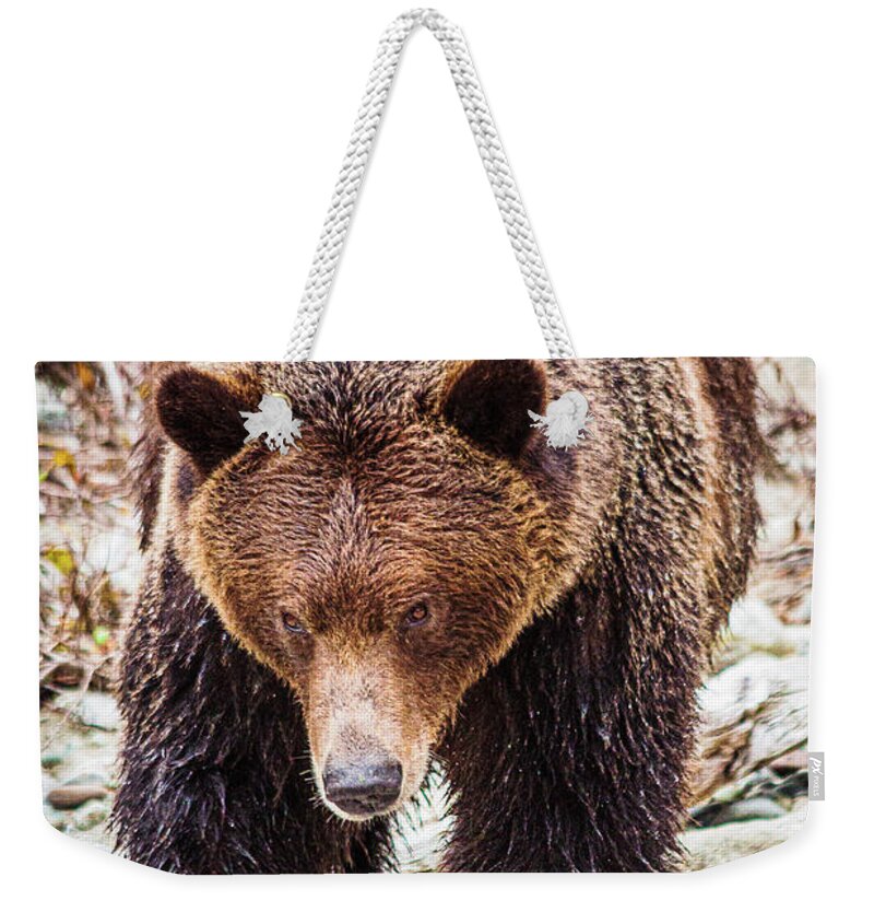 Wildlife Weekender Tote Bag featuring the photograph Mr. Grizz by Claude Dalley