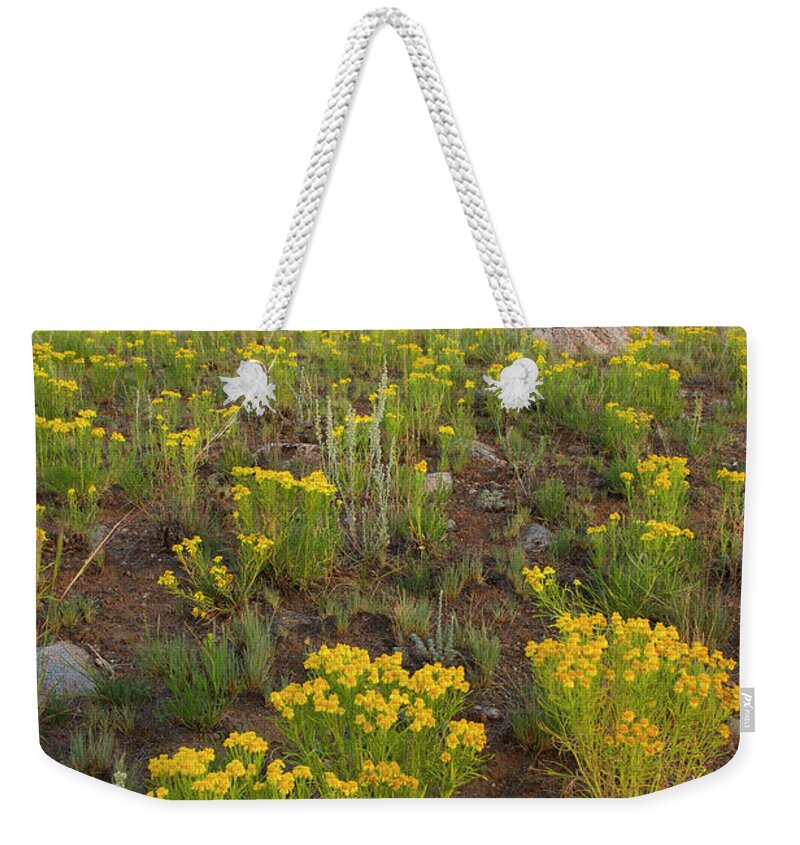 Mount Elbert Weekender Tote Bag featuring the photograph Mt. Elbert Wildflowers by Aaron Spong