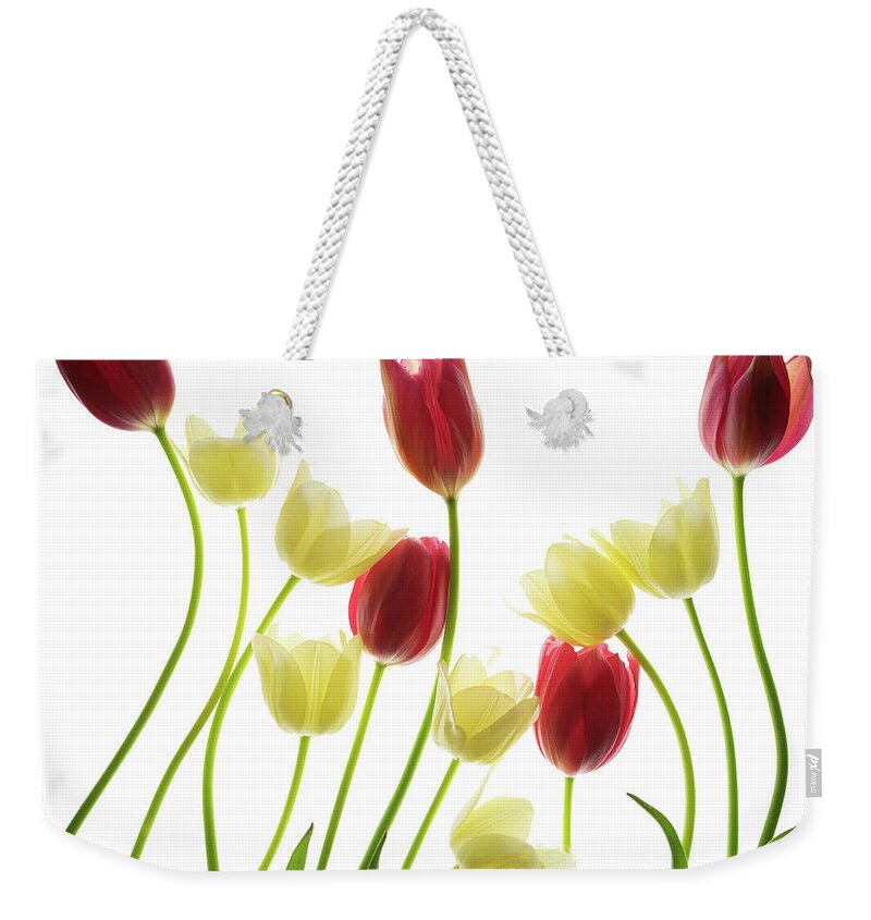 Flowers Weekender Tote Bag featuring the photograph Multi Colored Tulips by Rebecca Cozart