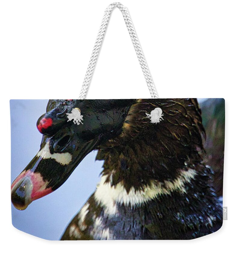 Duck Weekender Tote Bag featuring the photograph Muscovy Duck by Rene Vasquez