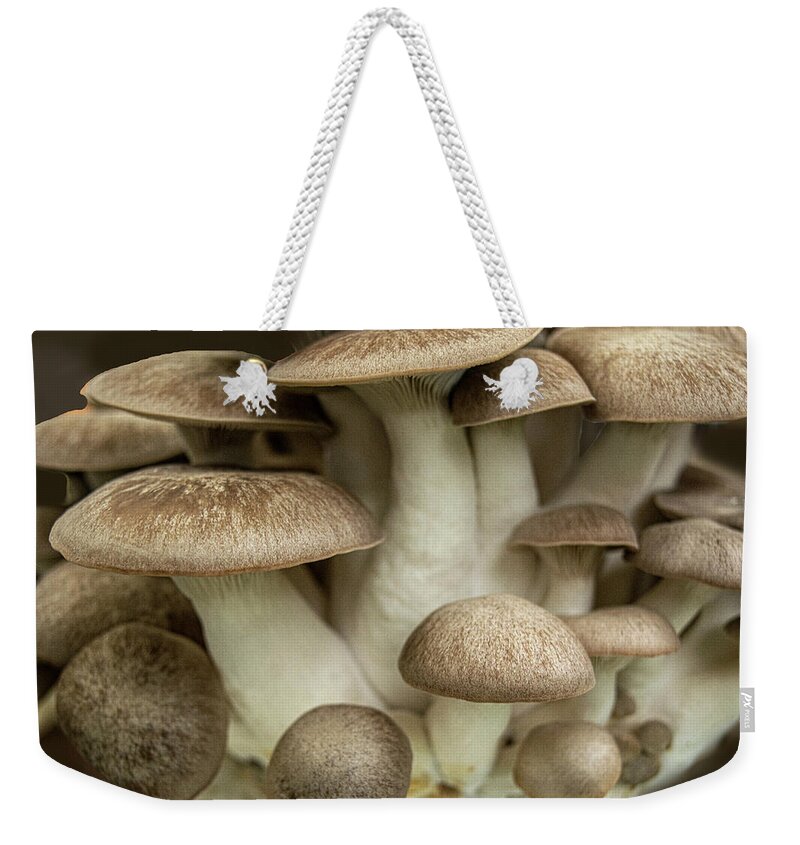 Mushroom Weekender Tote Bag featuring the photograph Mushroom Cluster by Frank Wilson