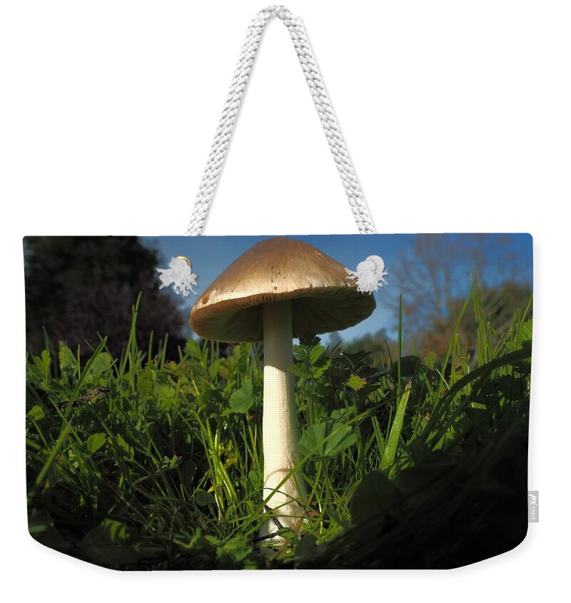City Park Weekender Tote Bag featuring the photograph Mushroom Direction by Richard Thomas