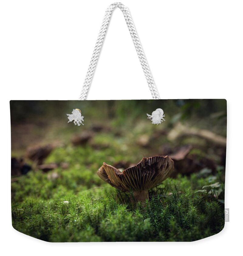 Forest Weekender Tote Bag featuring the photograph Mushrooms by Gavin Lewis