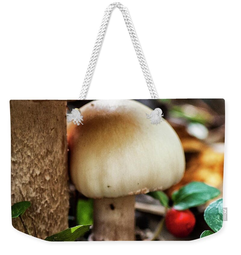 Mushrooms Weekender Tote Bag featuring the photograph Mushrooms in the Croatan National Forest by Bob Decker