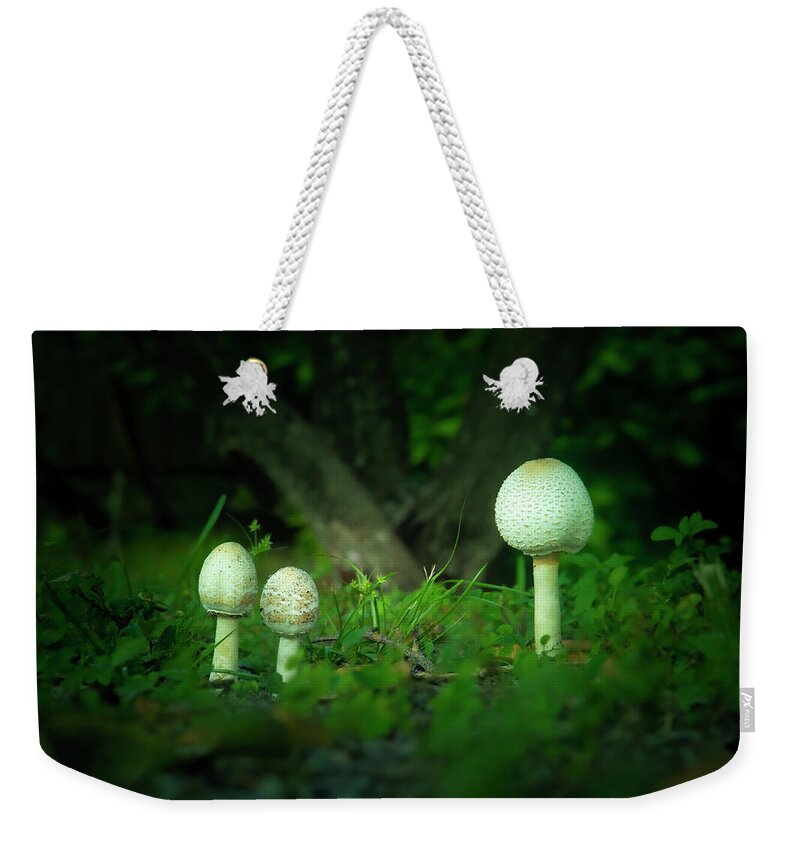 Mushrooms Weekender Tote Bag featuring the photograph Mushrooms in the Garden by Mark Andrew Thomas