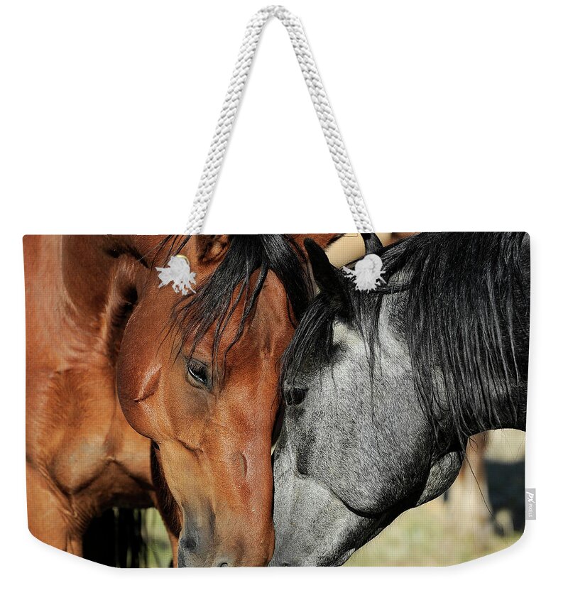 Deerwood Ranch Weekender Tote Bag featuring the photograph Mustang Friends by Carien Schippers