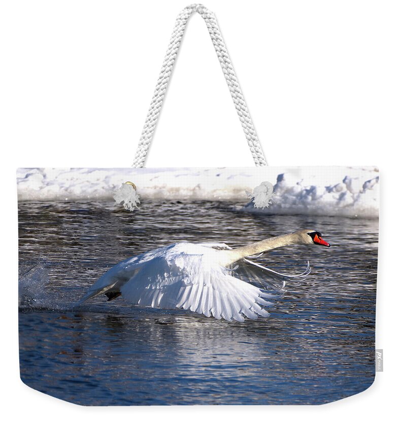 Mute Weekender Tote Bag featuring the photograph Mute Swan Wings Forward by Flinn Hackett