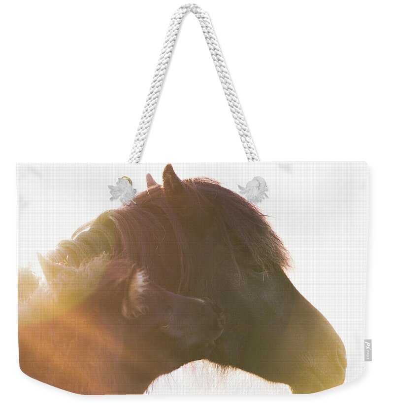 Photographs Weekender Tote Bag featuring the photograph Mwoah - Horse Art by Lisa Saint