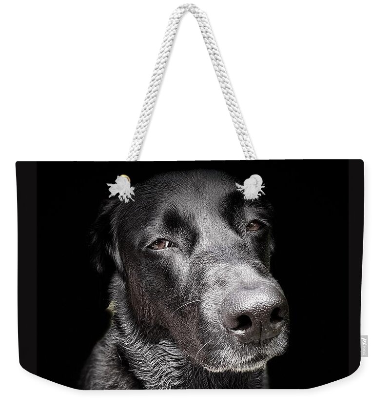 Dog Weekender Tote Bag featuring the photograph My Dog Darby by David Letts