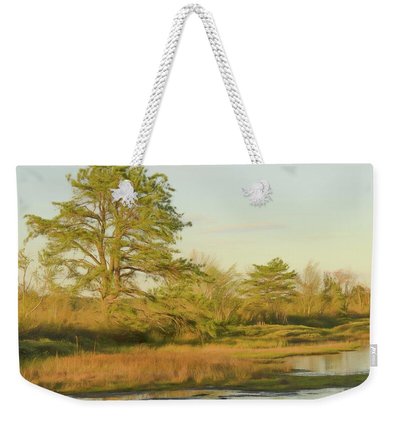 Pitch Pine Weekender Tote Bag featuring the photograph My Favorite Pine 1 by Beth Venner