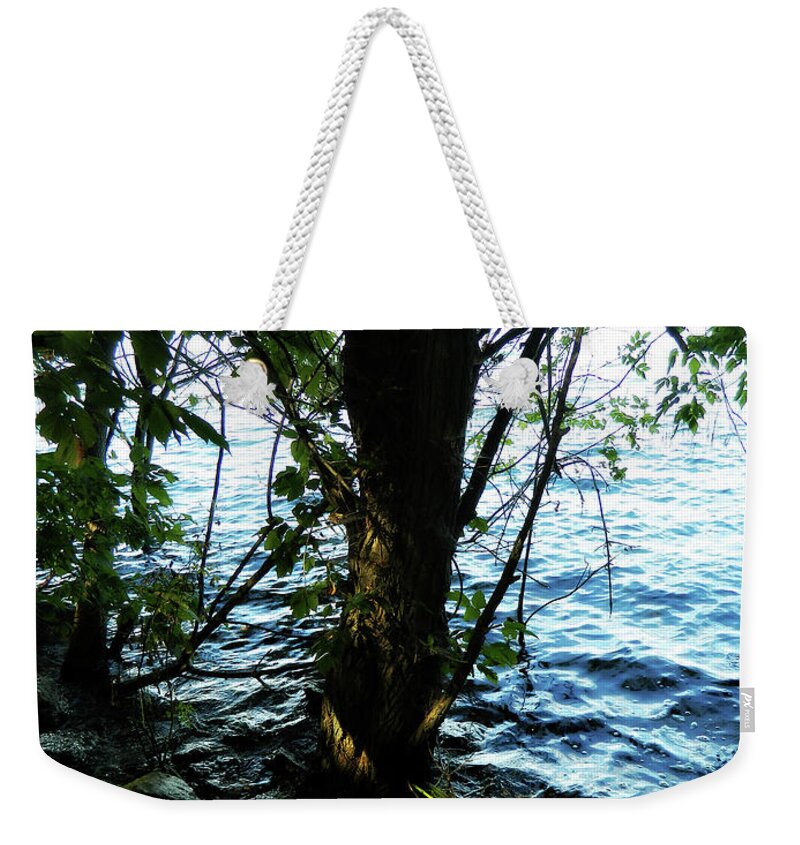 My New Spot Weekender Tote Bag featuring the photograph My New Spot 1 by Cyryn Fyrcyd