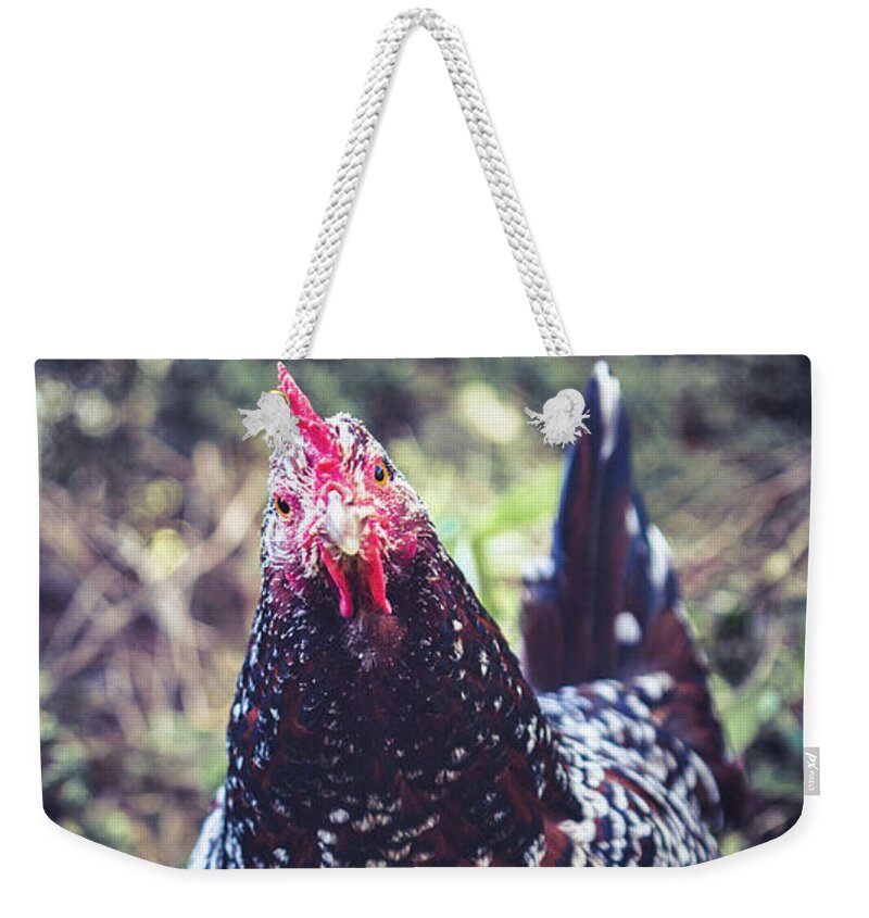 Chicken Weekender Tote Bag featuring the photograph My Yard My Rules by Ada Weyland