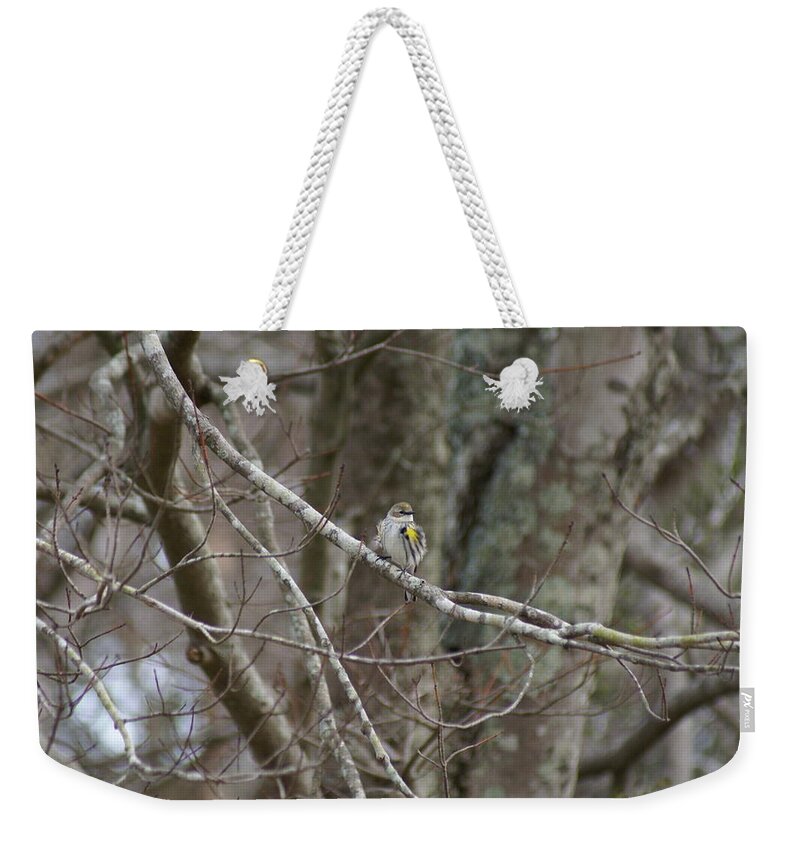  Weekender Tote Bag featuring the photograph Myrtle Warbler by Heather E Harman