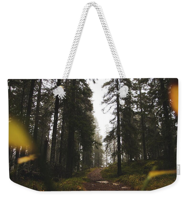 Outdoor Weekender Tote Bag featuring the photograph Mysterious misty forest in the rain by Vaclav Sonnek