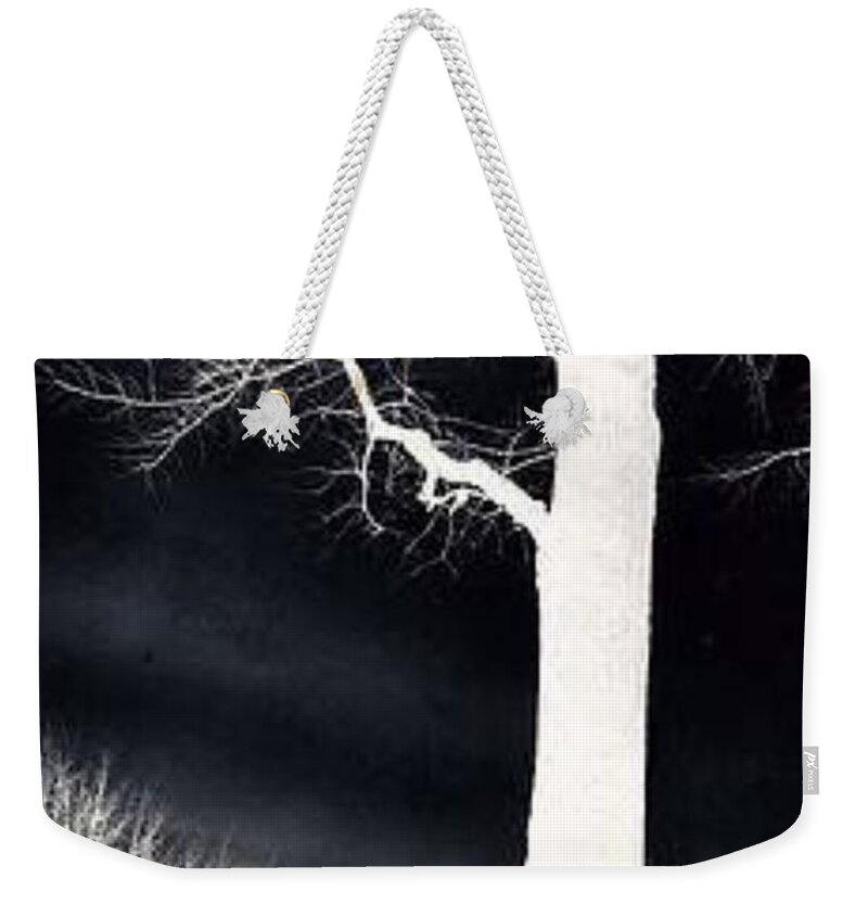 Tree Weekender Tote Bag featuring the photograph Mystic Tree Nighttime by Denise F Fulmer