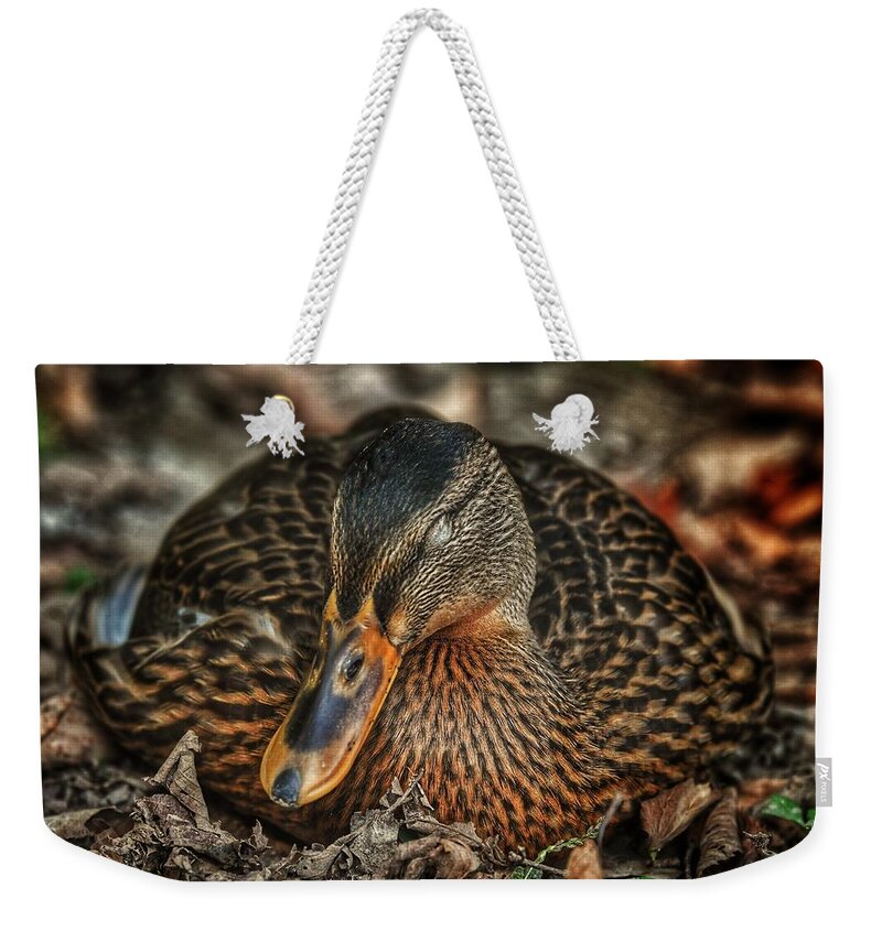 Photo Weekender Tote Bag featuring the photograph Nap time by Evan Foster