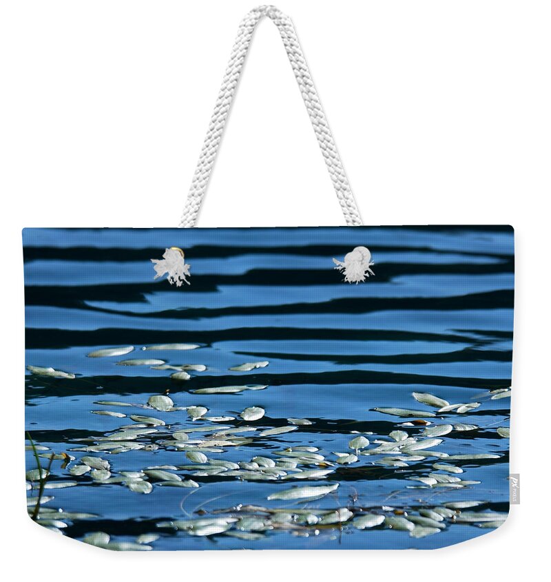 Pond Weekender Tote Bag featuring the photograph Pond Petals and Shadows by Bonnie Colgan