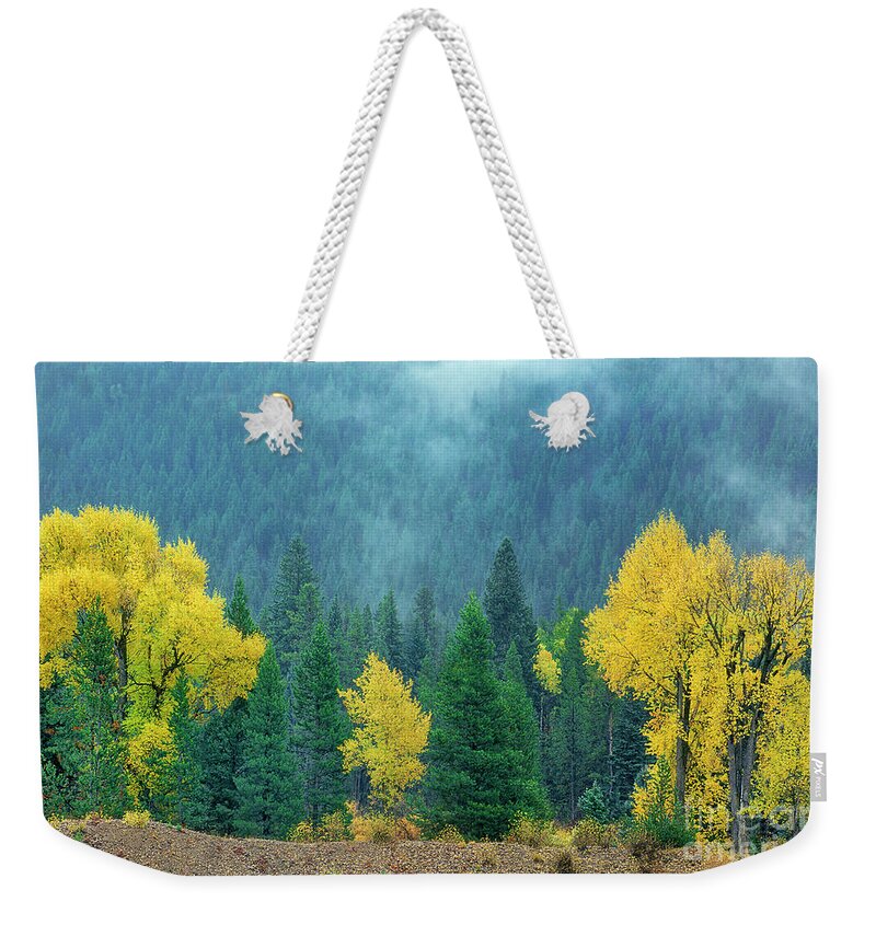 Dave Welling Weekender Tote Bag featuring the photograph Narrowleaf Cottonwoods And Blur Spruce Trees In Grand Tetons by Dave Welling