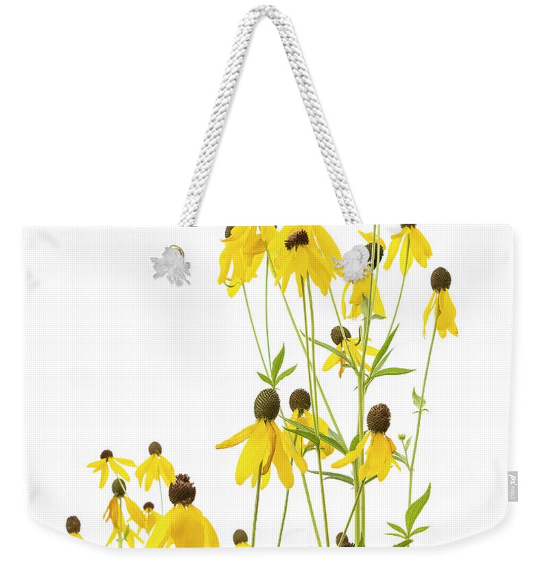 Sugar Grove Weekender Tote Bag featuring the photograph Native to Prairie by Ray Silva