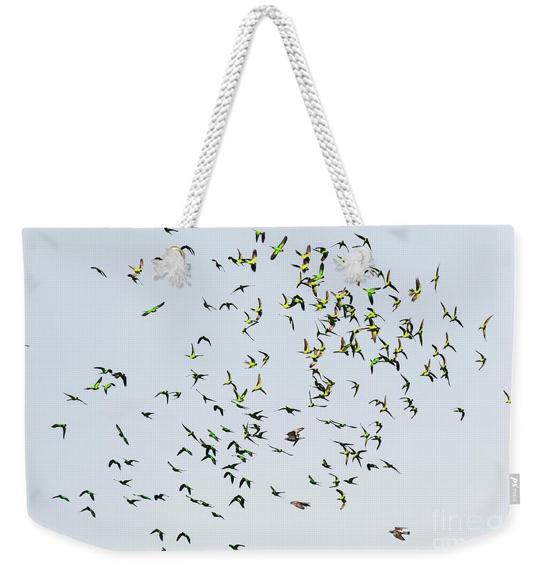 Nature Abstract Weekender Tote Bag featuring the photograph Nature Abstract, Flying Green Parakeet by Felix Lai