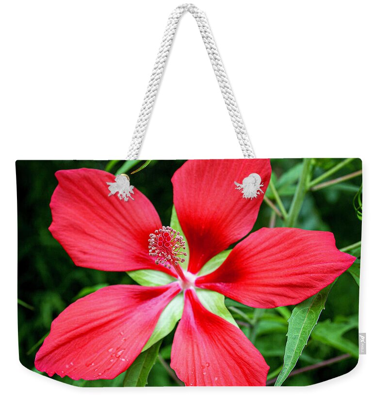 Flower Weekender Tote Bag featuring the photograph Nature by Alan Riches