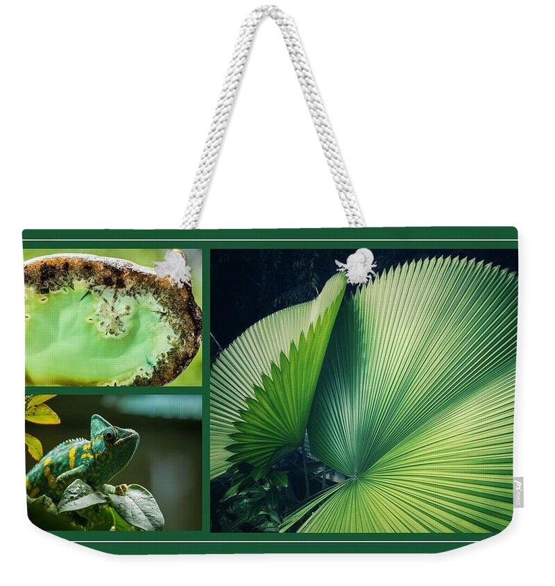 Chameleon Weekender Tote Bag featuring the mixed media Nature As Art by Nancy Ayanna Wyatt
