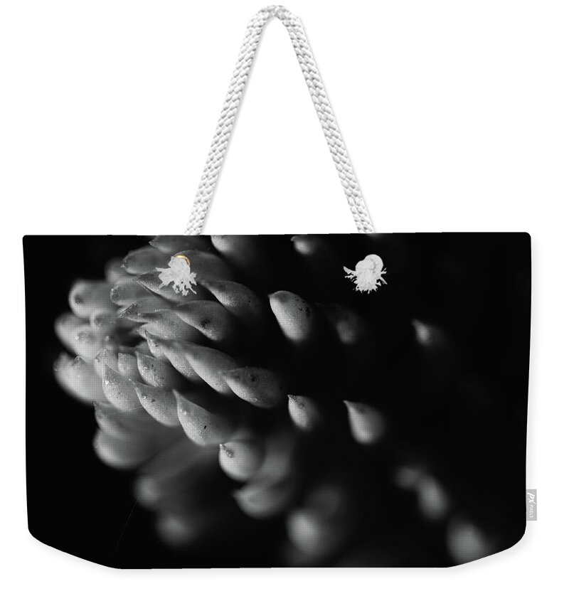 Macro Weekender Tote Bag featuring the photograph Nature Beauty by Martin Vorel Minimalist Photography