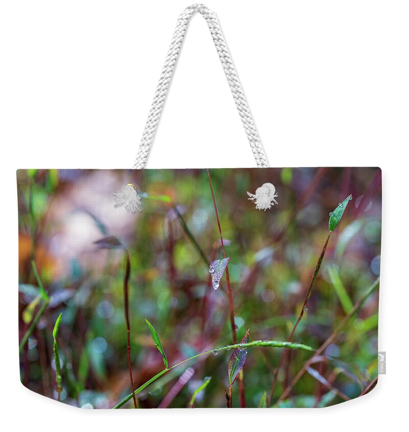 Fall Weekender Tote Bag featuring the photograph Nature Photography - Fall Grass by Amelia Pearn