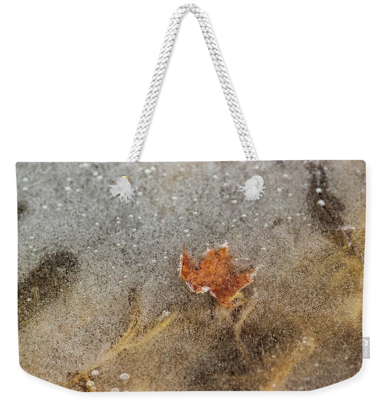 Landscapes Weekender Tote Bag featuring the photograph Nature Photography - Pond Ice by Amelia Pearn