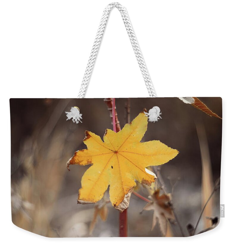 Nature Art Weekender Tote Bag featuring the photograph Nature Pic 7 by Gian Smith