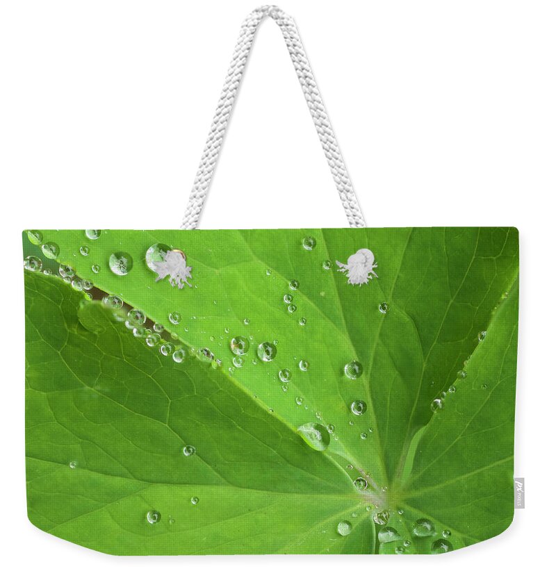 Flora Weekender Tote Bag featuring the photograph Nature's Beading by Melissa Southern