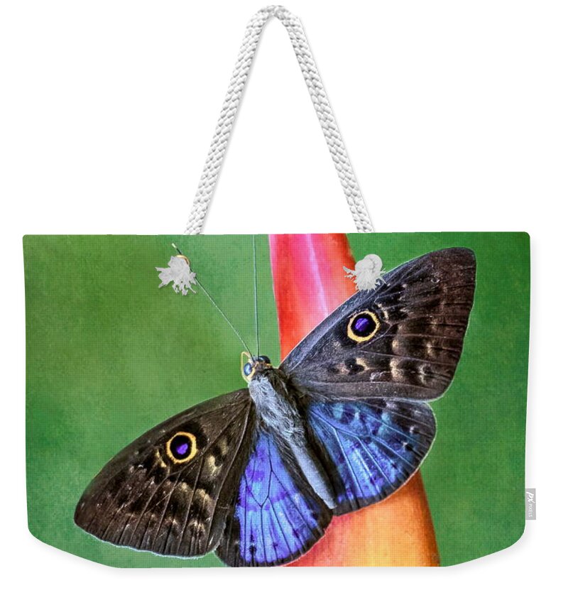 Butterfly Weekender Tote Bag featuring the photograph Natures Gift by Susan Hope Finley