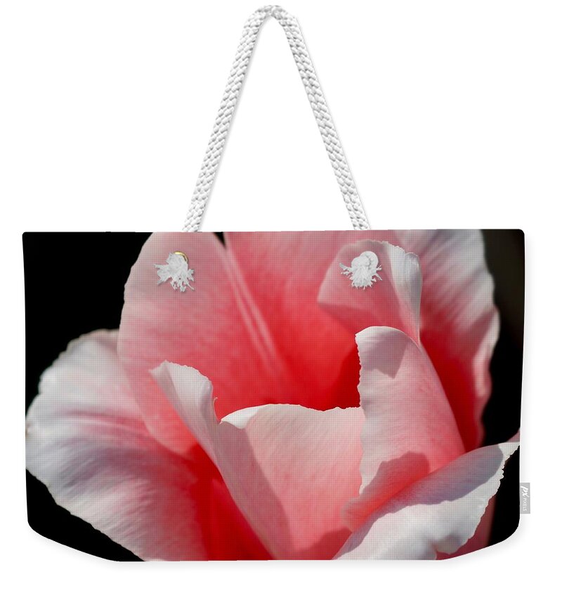 Tulips Weekender Tote Bag featuring the photograph Nature's Handmaiden by Ira Shander