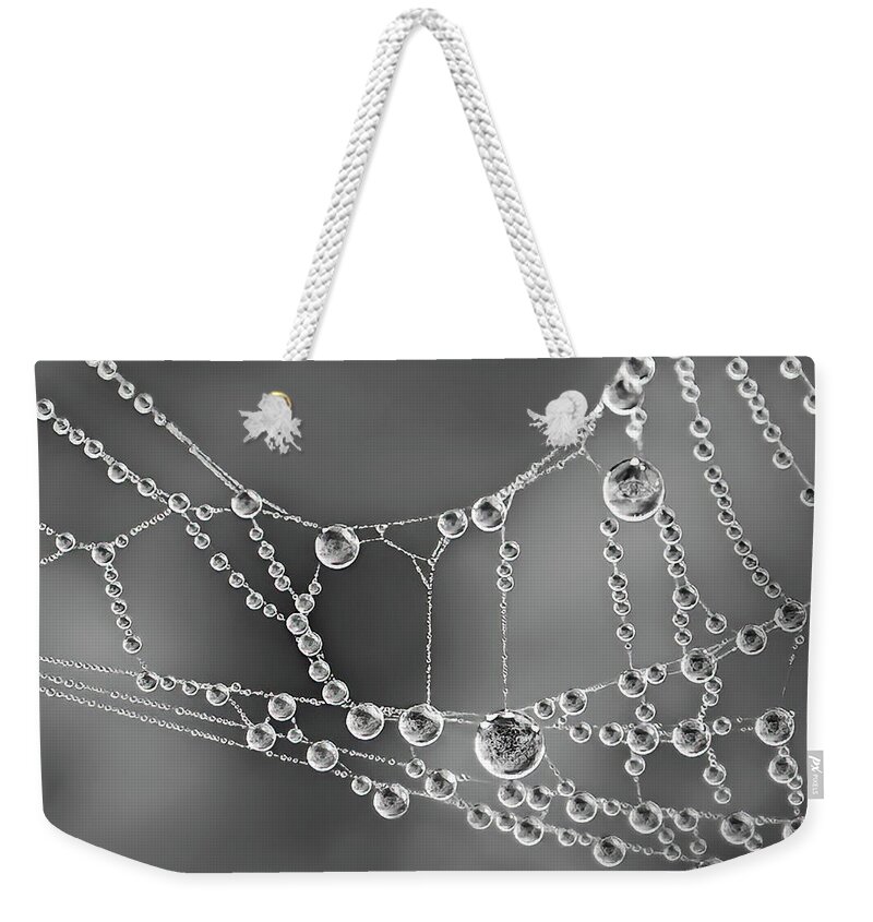 Spider Web Weekender Tote Bag featuring the photograph Natures Jewels by Shara Abel