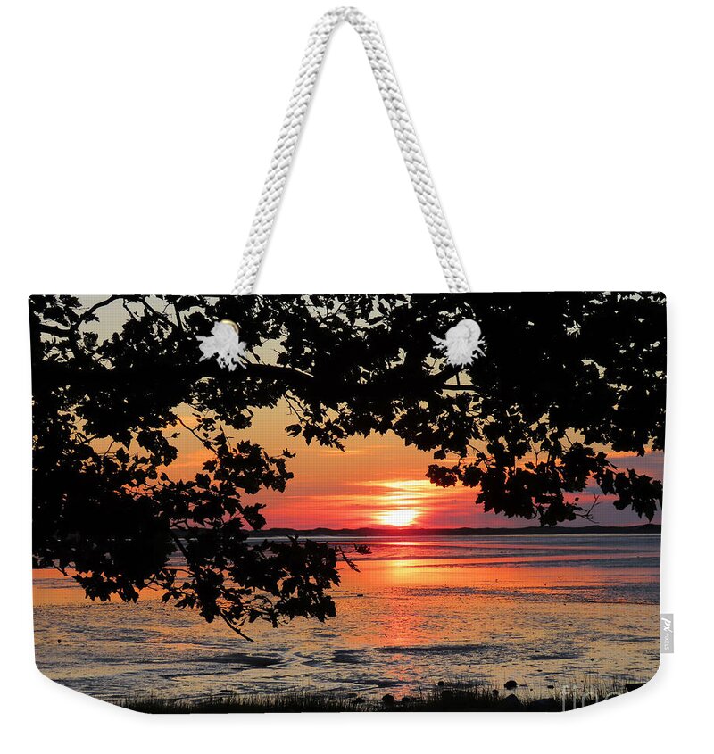 Sunrise Weekender Tote Bag featuring the photograph Nelson Park August sunrise by Janice Drew