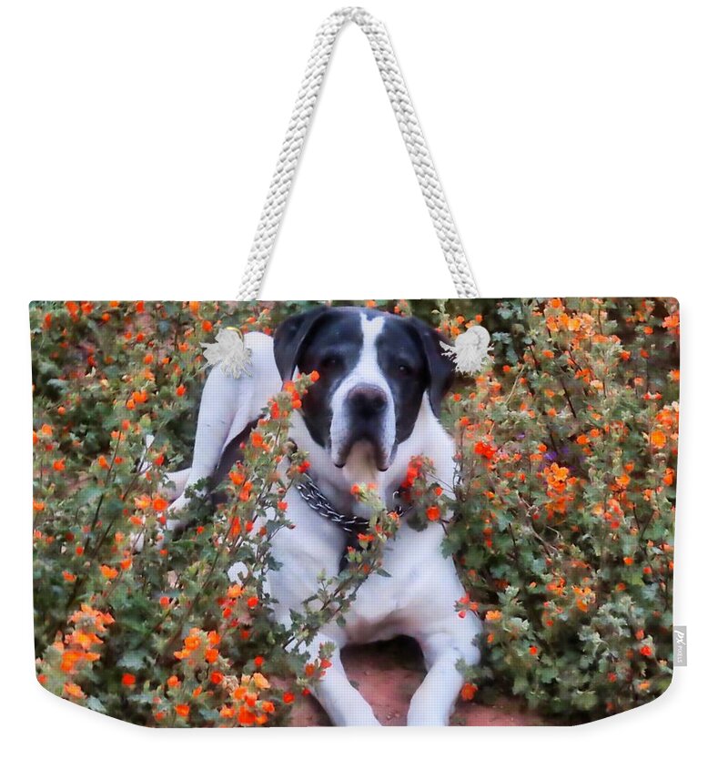 Waywardmuse Weekender Tote Bag featuring the photograph Neo in the Globemallows by Judy Kennedy