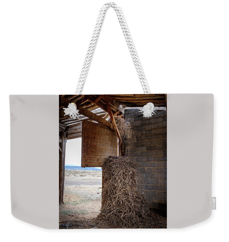 Colorado Weekender Tote Bag featuring the photograph Nest of the Ancient Raven by Mary Lee Dereske