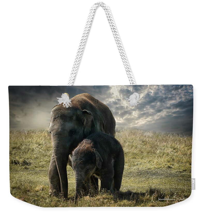 Elephant Weekender Tote Bag featuring the photograph Never Forget by Chris Boulton