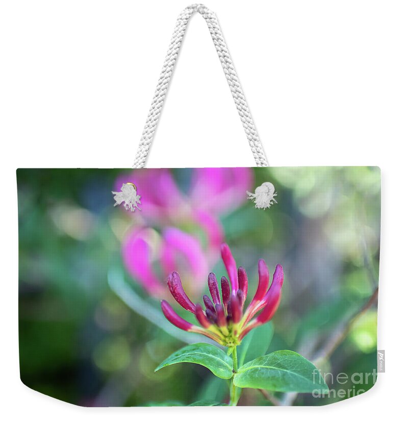 Honeysickle Weekender Tote Bag featuring the photograph New Beginnings by Amy Dundon