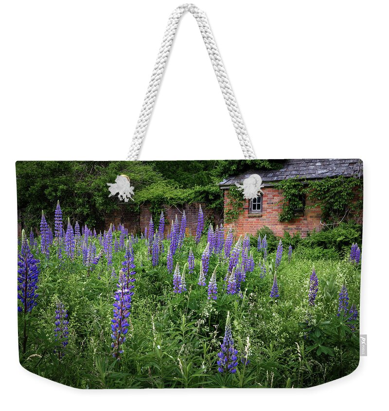 Lupine Weekender Tote Bag featuring the photograph New England Lupine by Bill Wakeley