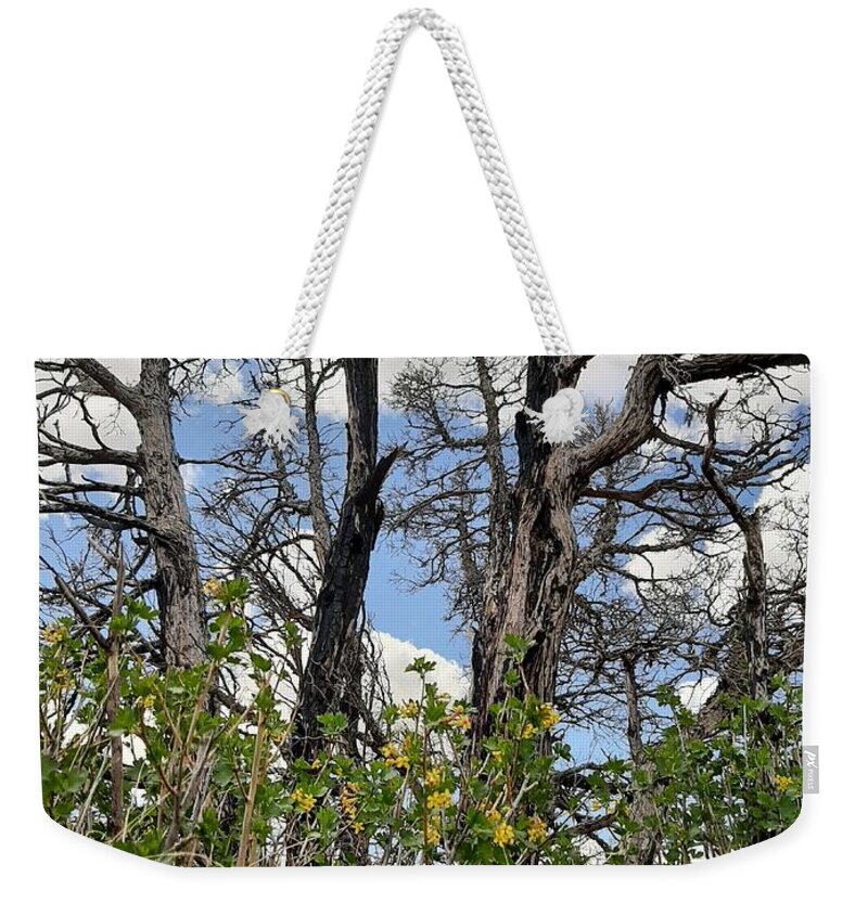 Burn Weekender Tote Bag featuring the photograph New Growth by Burned Juniper by Amanda R Wright