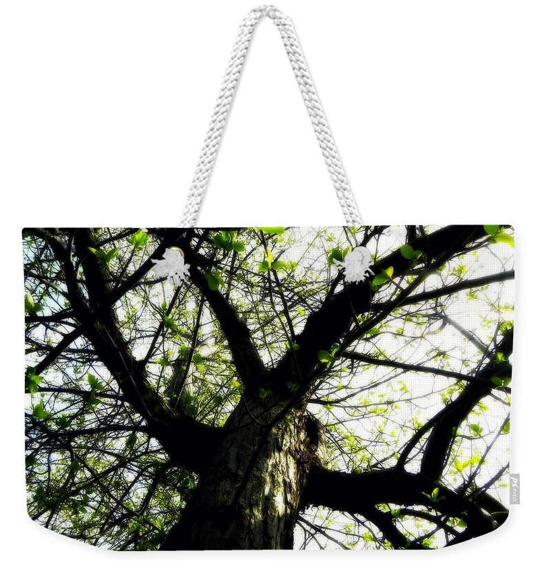 Leaves Weekender Tote Bag featuring the photograph New Leaves by Amanda R Wright