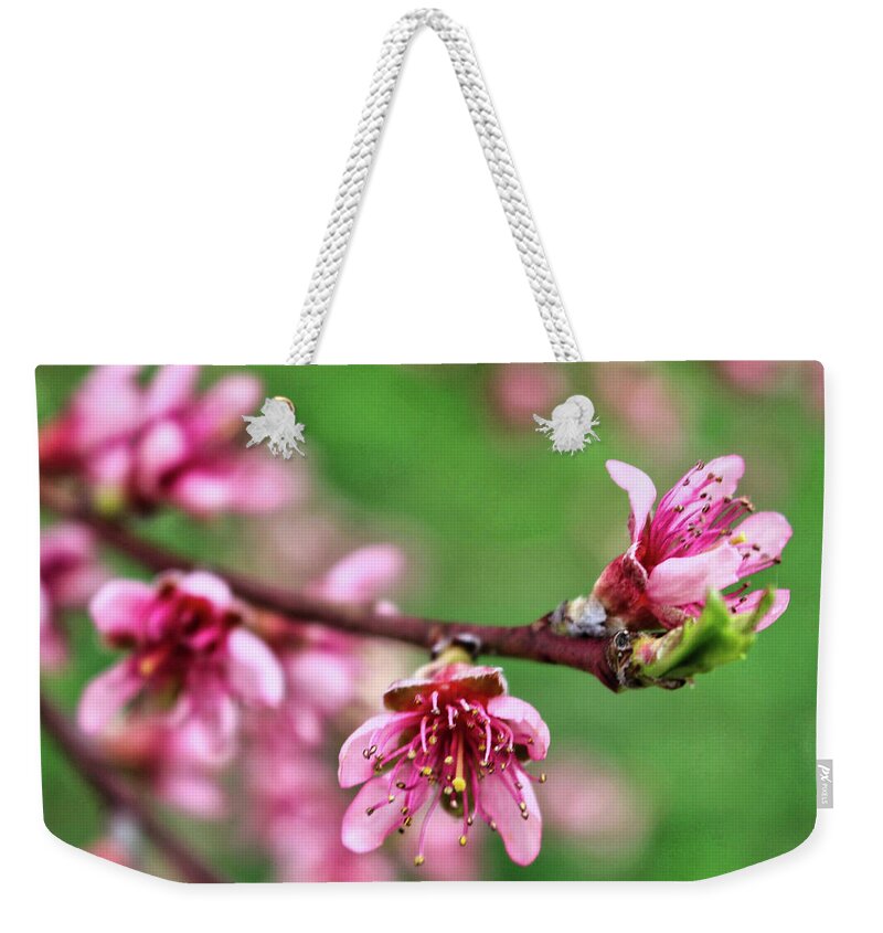Newark Weekender Tote Bag featuring the photograph Newark Cherry Blossom Series - 11 by Christopher Lotito