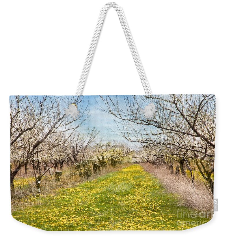 Blossoms Weekender Tote Bag featuring the photograph Niagara's Blossom Trail - Wabi Sabi by Marilyn Cornwell