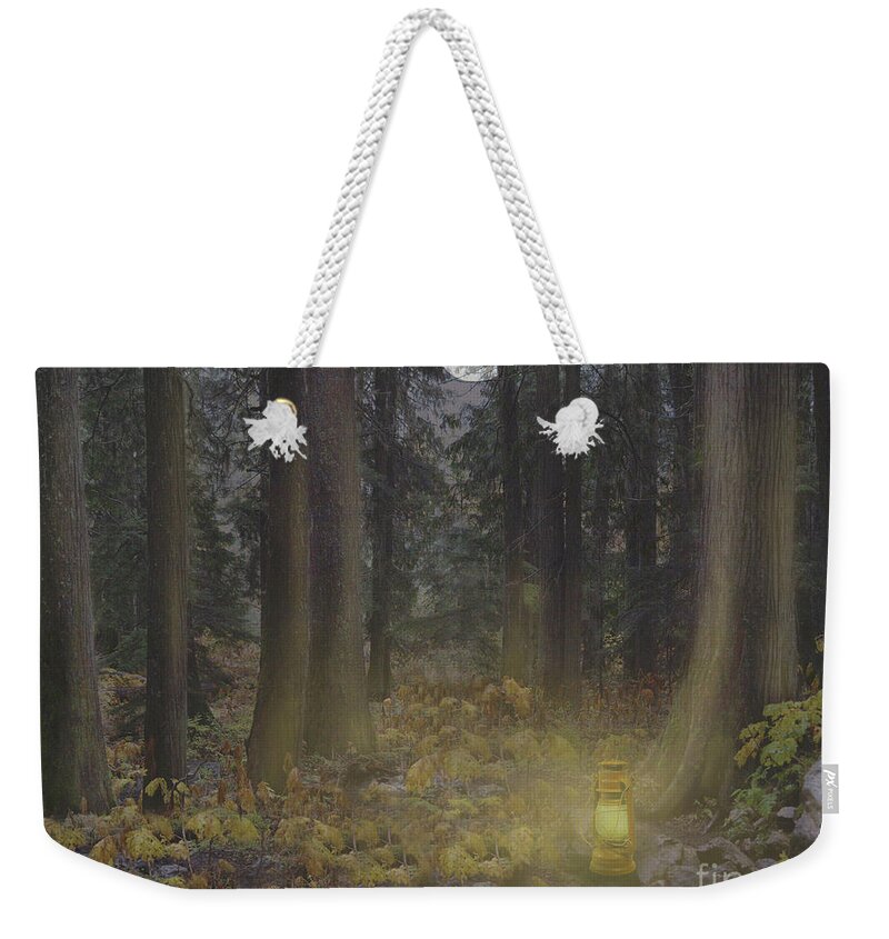 Night Weekender Tote Bag featuring the photograph Night Lights by Vivian Martin