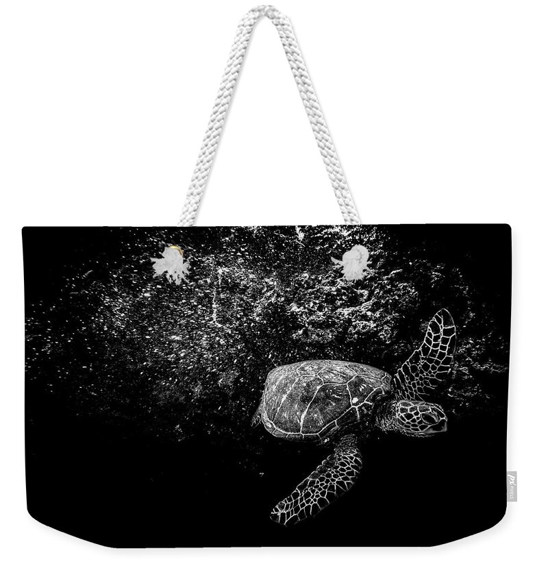 Night Turtle Weekender Tote Bag featuring the photograph Night Turtle by Leonardo Dale