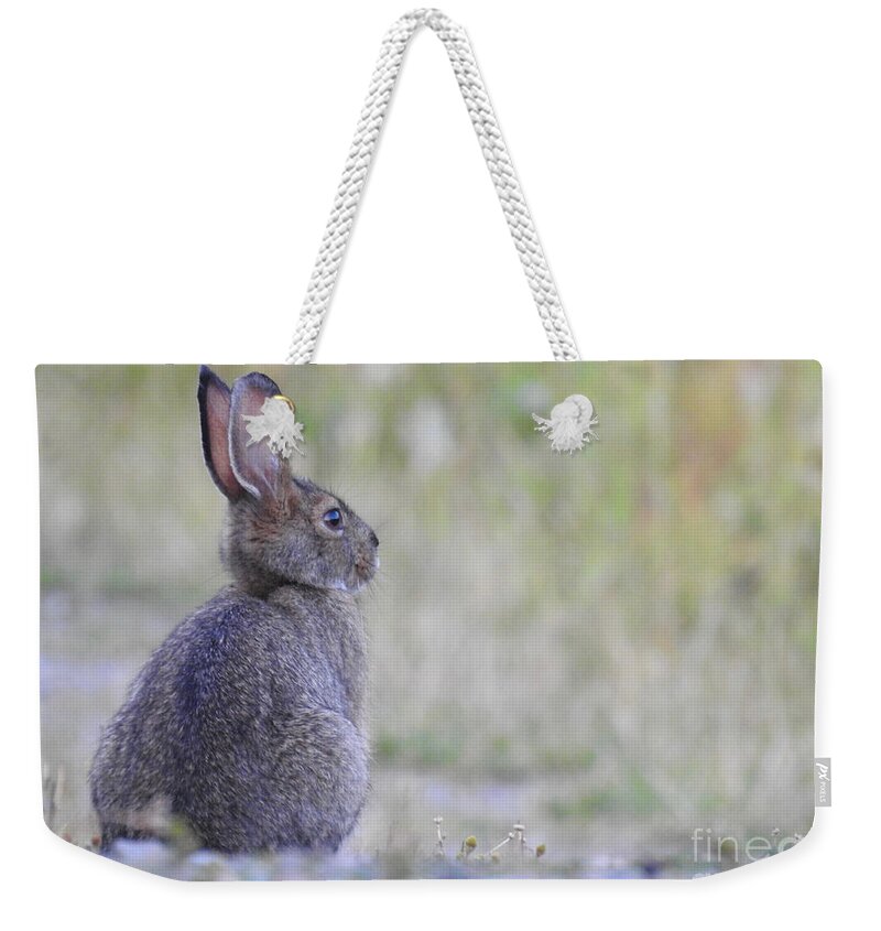 Rabbit Weekender Tote Bag featuring the photograph Nipped by frost by Nicola Finch