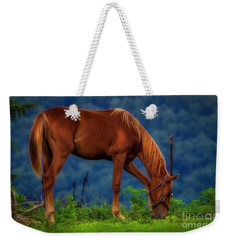 Horse Weekender Tote Bag featuring the photograph Northeast Tennessee Farm Country by Shelia Hunt