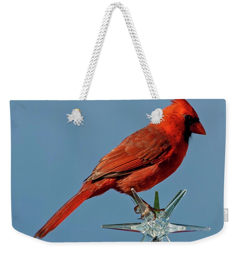 Cardinal Weekender Tote Bag featuring the photograph Northern Cardinal by Dart Humeston